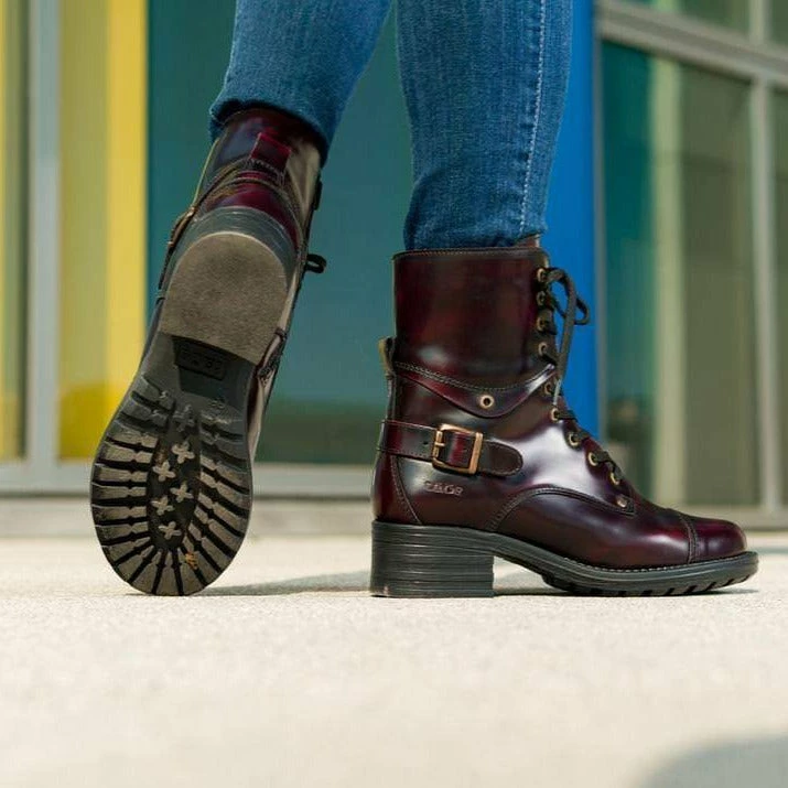 Budget ✨ TAOS Crave 😀 5 TAOS Crave