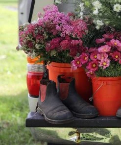 Discount 🎉 BLUNDSTONE 1316 Classic 🎉 10 BLUNDSTONE 1316 Classic