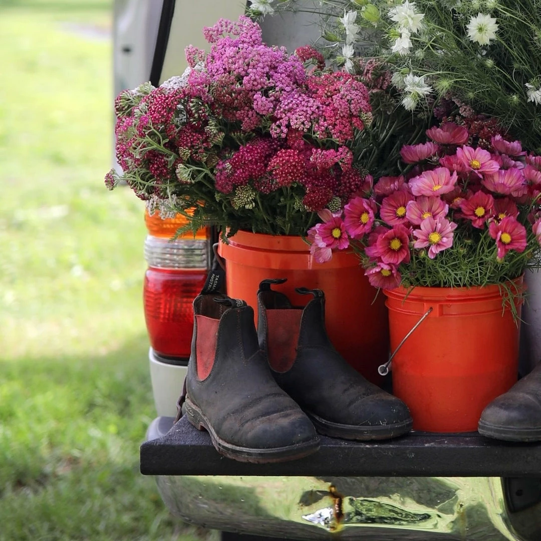 Discount 🎉 BLUNDSTONE 1316 Classic 🎉 5 BLUNDSTONE 1316 Classic