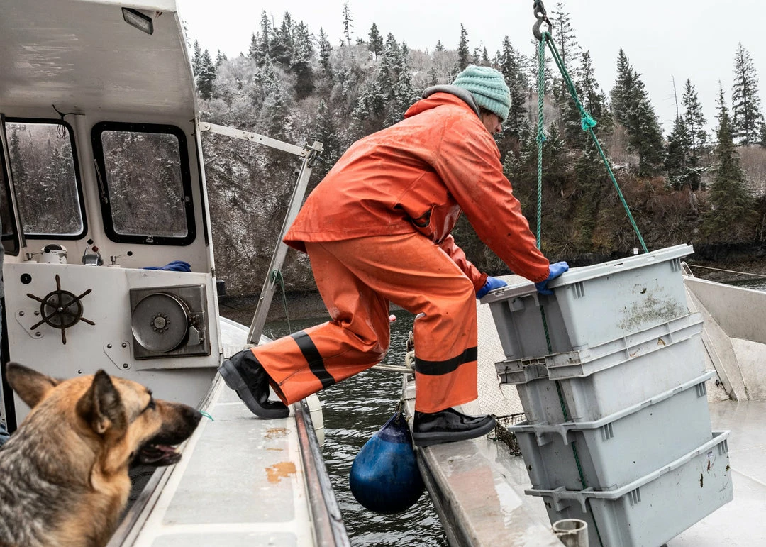 Deals 😀 XTRATUF 15" Legacy Boot ✨ 2 XTRATUF 15" Legacy Boot